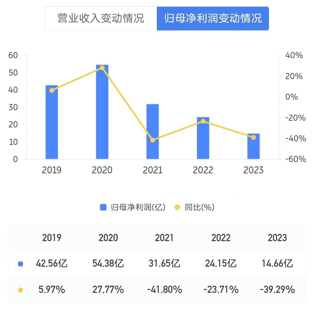 大华集团增收不增利，金惠明患上“虚胖”症