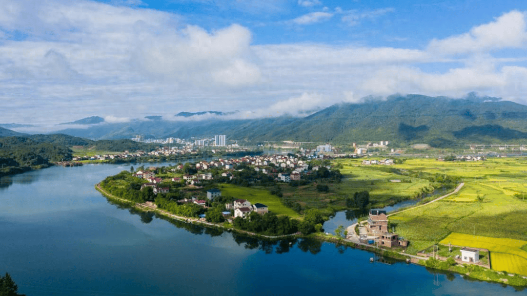 邓慧强：一任接着一任干 愿做白鹭留霞灯