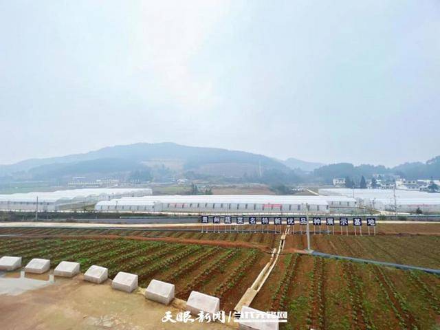 卅载奋斗峥嵘路 支农筑梦向“黔”进｜农发行贵州省分行：善谋“粮”策撬动“三农”发展