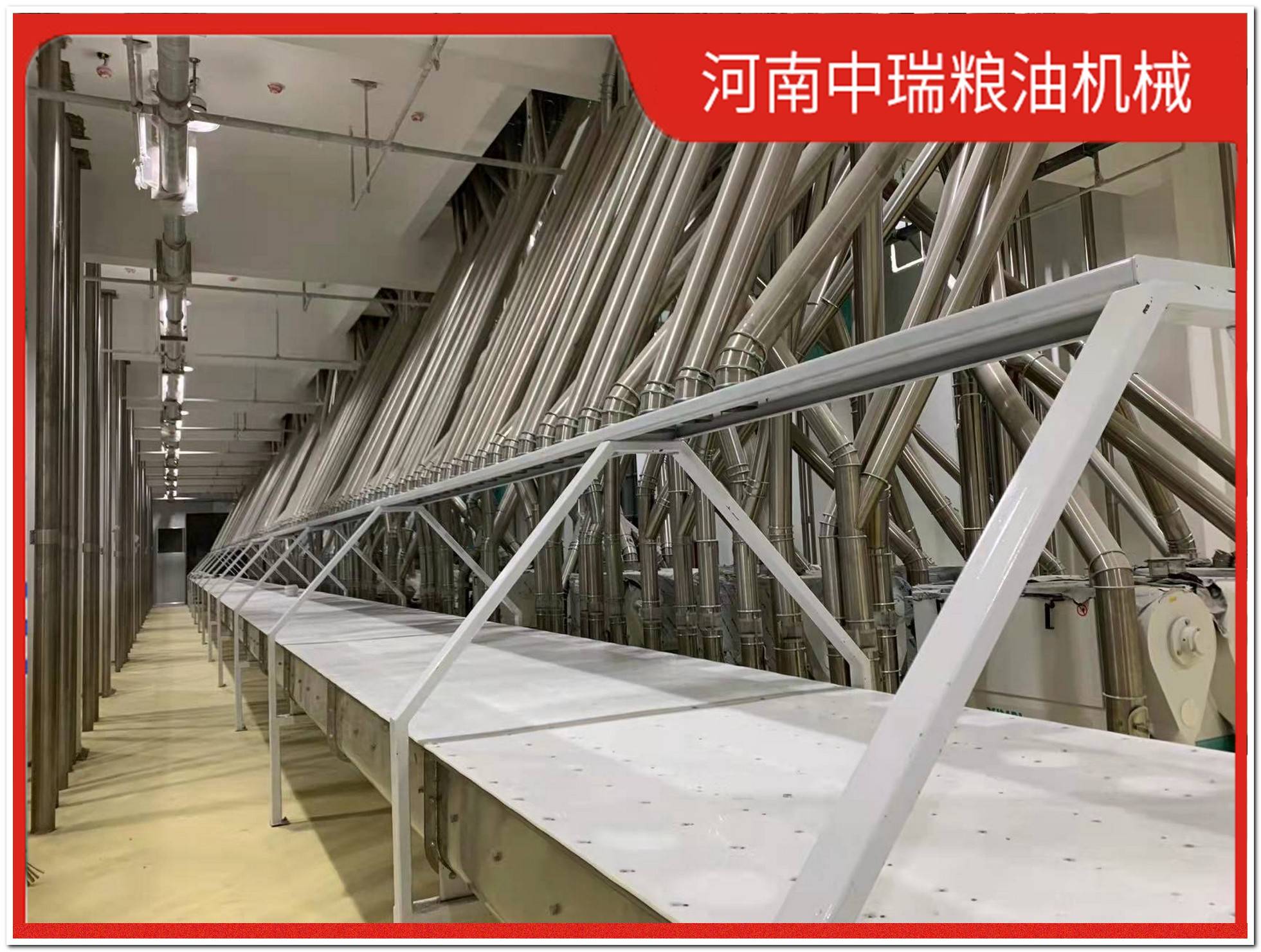 珠海大米加工机械需要投资多少钱？