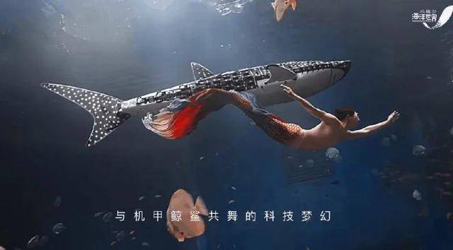 海洋馆里的鲸鲨竟是“机器鱼”，游客怒了！假鲸鲨贵的也要千万元，专家：确实有难处