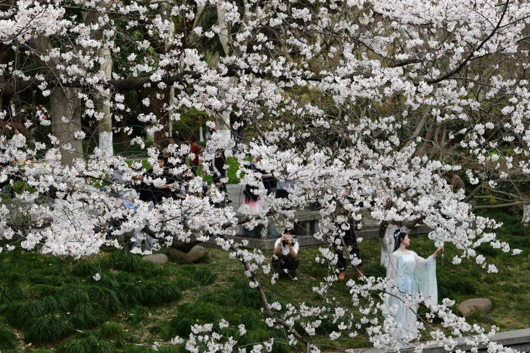 暴降17℃！浙江明起“大变脸”：暴雨、雷暴大风、冰雹都要来！