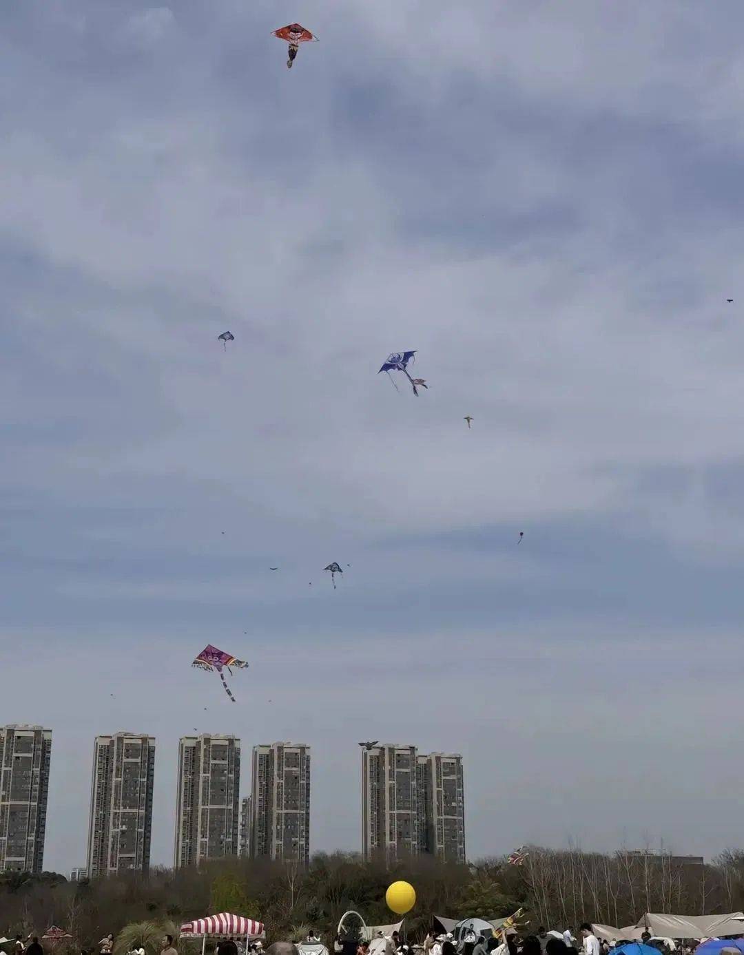 骑友在成都环城绿道险遭“割头”！春季骑行，警惕空中“致命风筝线”
