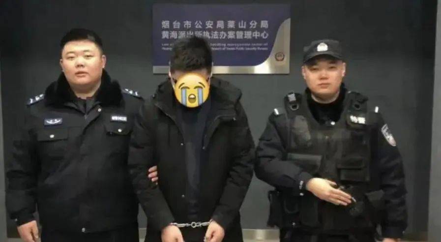 公安部：在校大学生胡某，被抓获